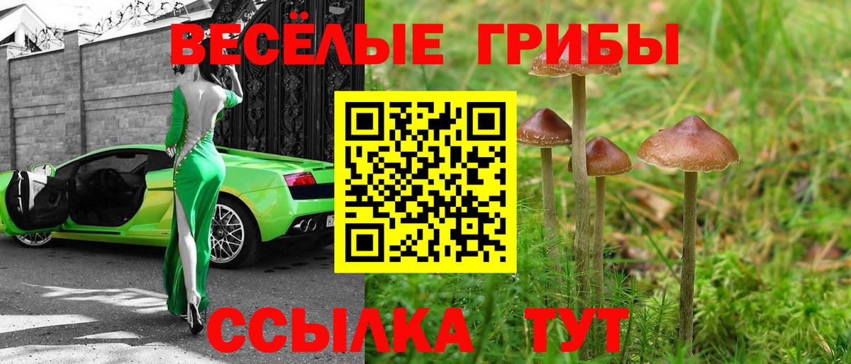 Галлюциногенные грибы мицелий  Вход с VPN  Электросталь  Галлюциногенные грибы GOLDEN TEACHER 